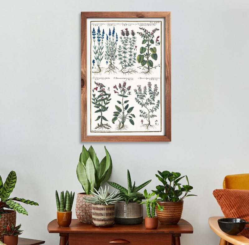 Lavender and thyme poster