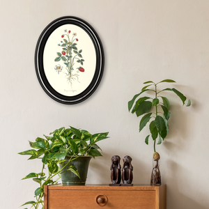 Wild strawberry poster in a wooden oval frame