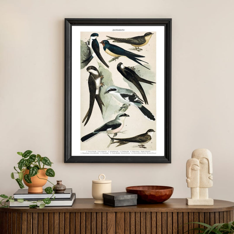 Swallow and Swift Poster