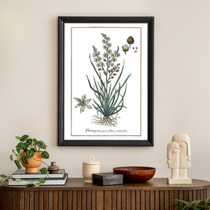 Lily spider web poster