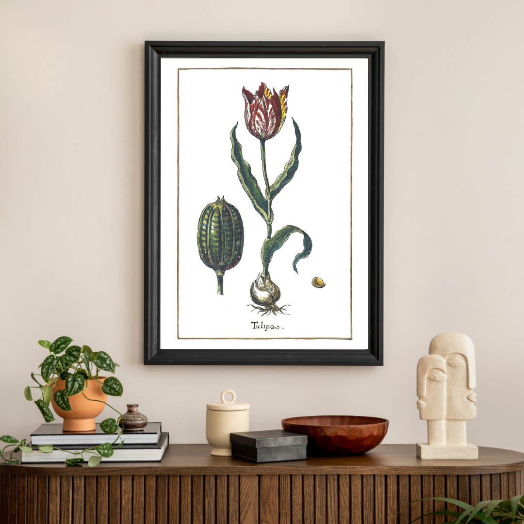 Tulip poster