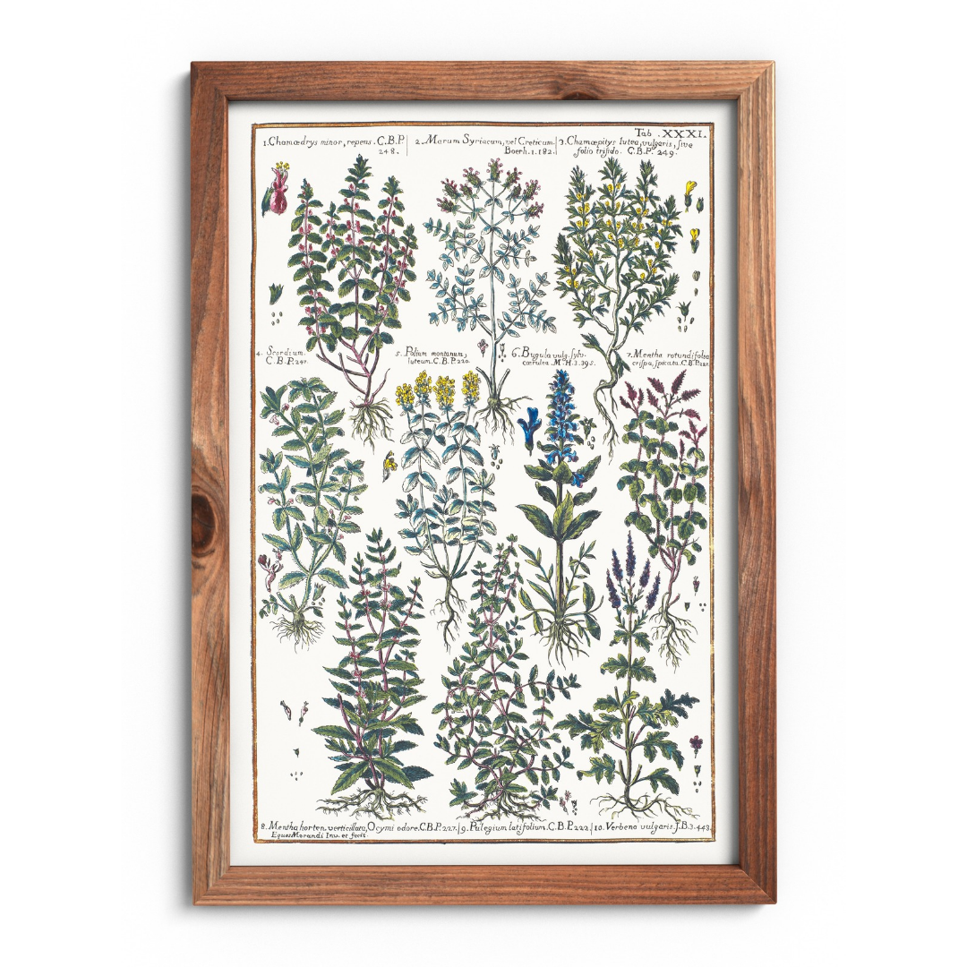 Mint and verbena poster