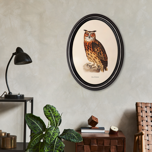 Eagle owl poster in a wooden oval frame