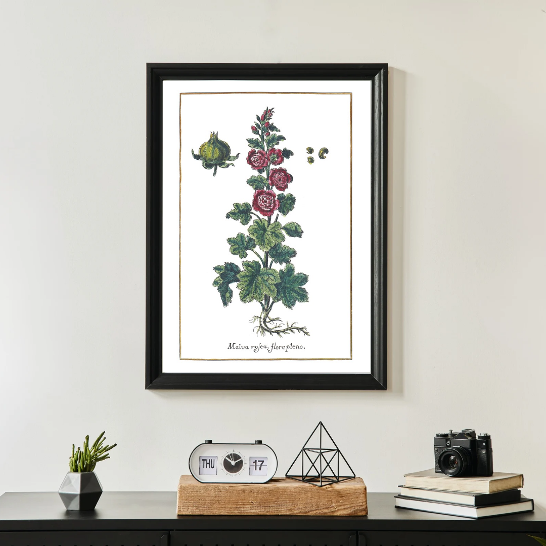 Full hollyhock poster