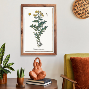 Tansy poster