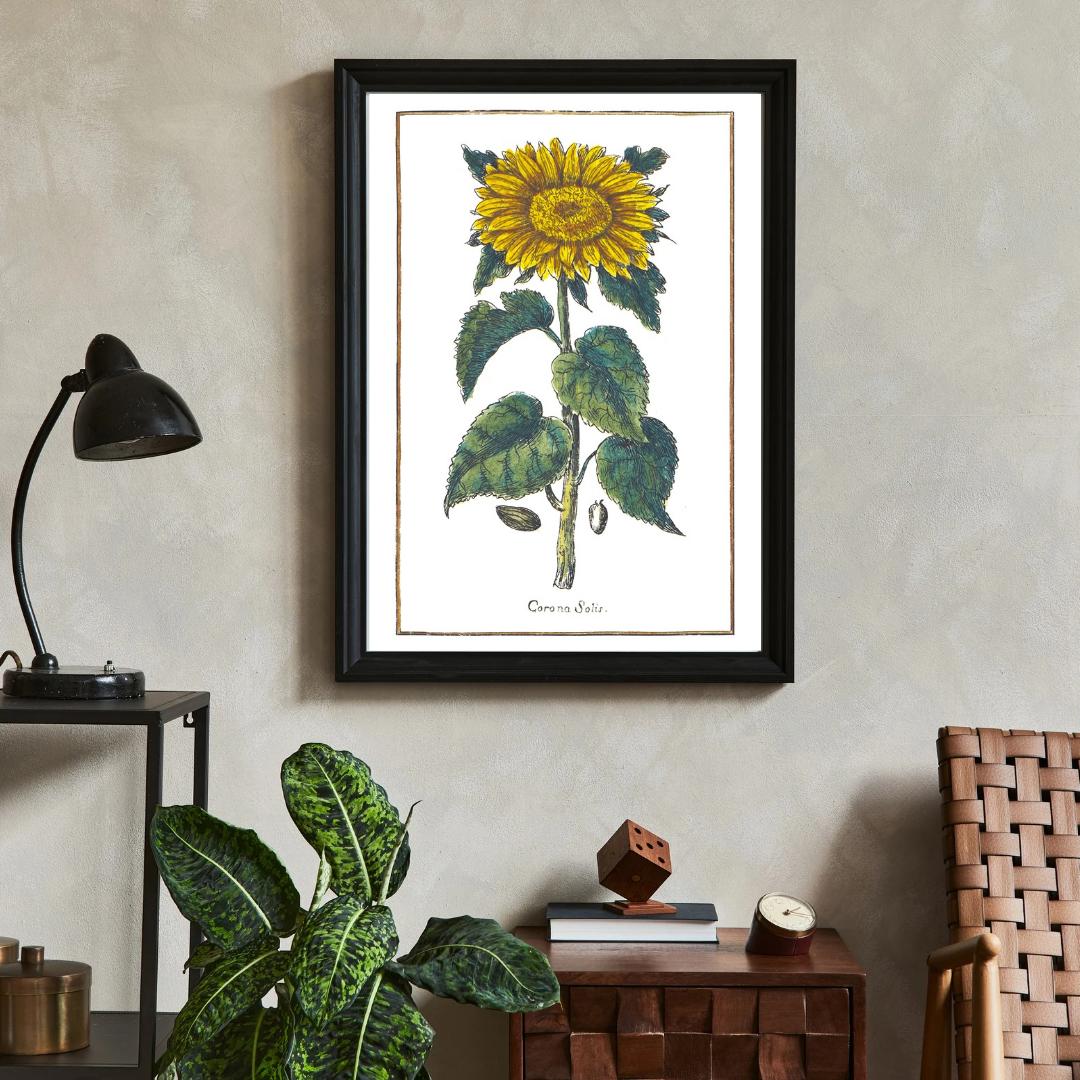 Sunflower poster