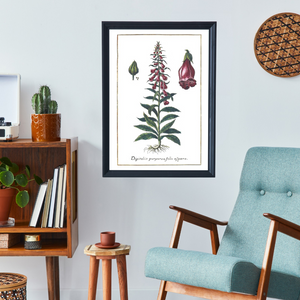 Foxglove poster