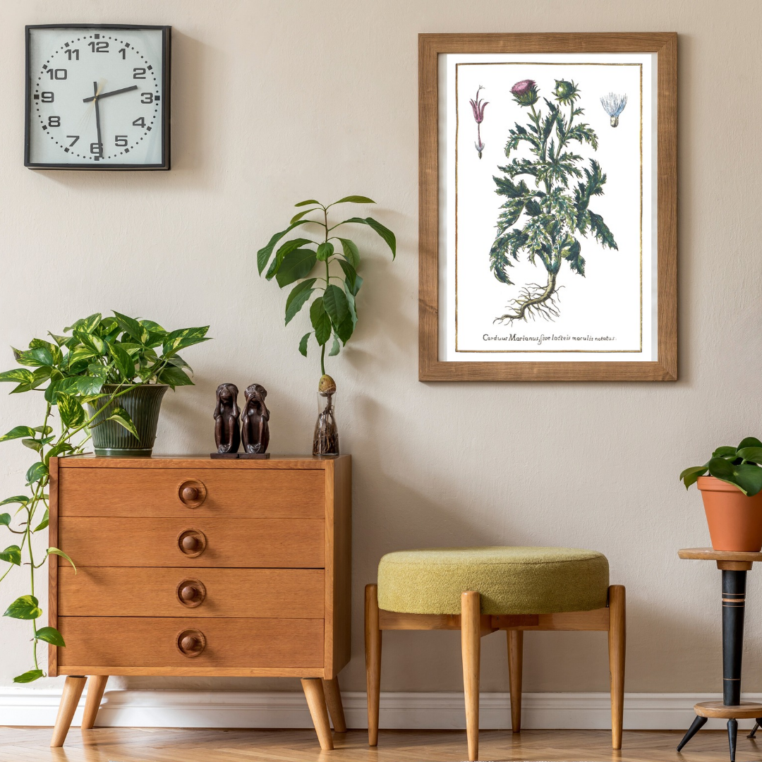 Milk thistle poster