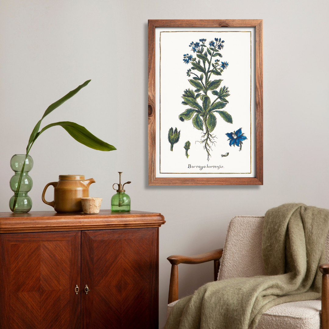 Borage poster