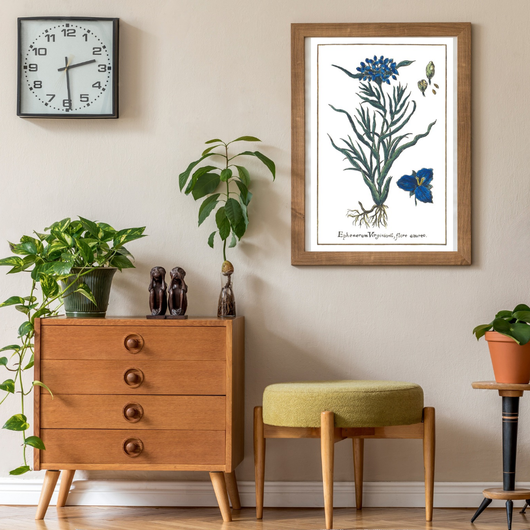 Virginia three-leaf poster