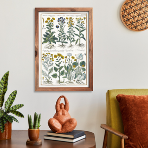 Goldenrod and coltsfoot poster