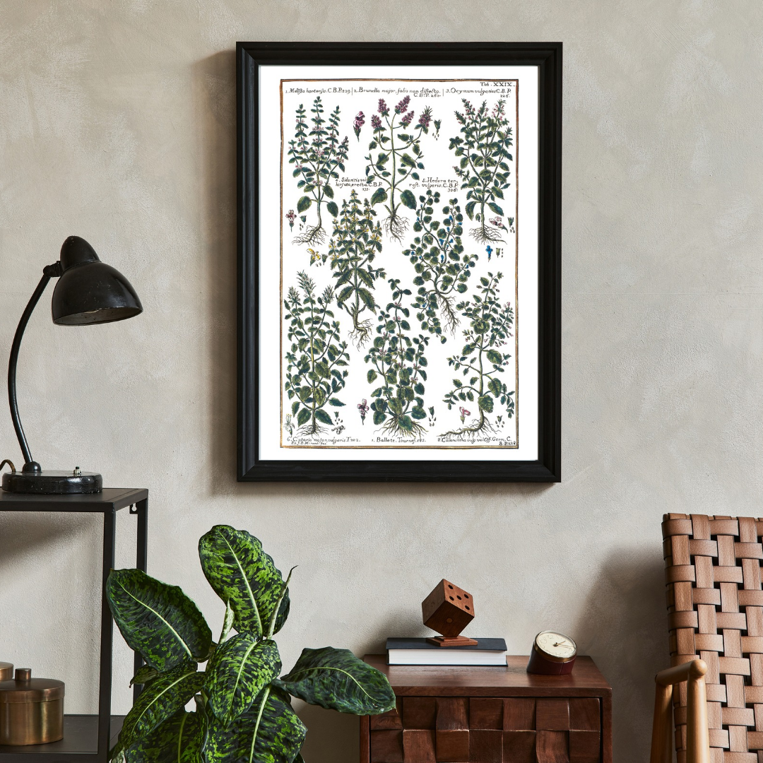 Basil and lemon balm poster