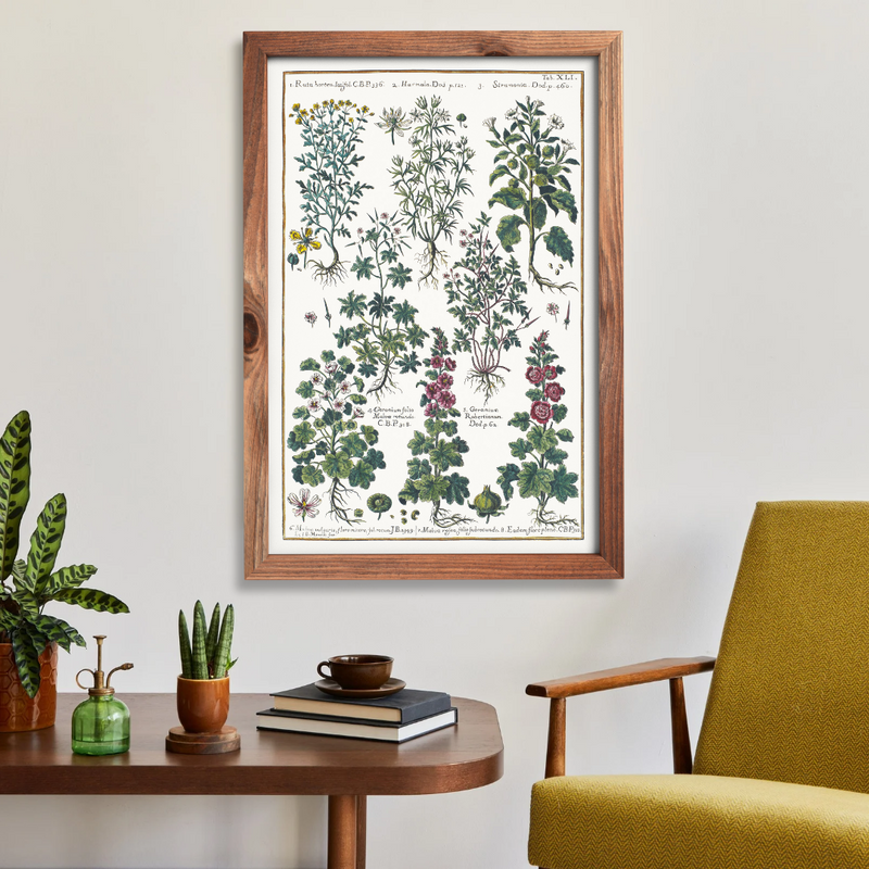 Datura and hollyhock poster