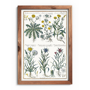 Poster of dandelions and mountain goats