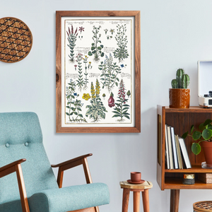 Foxglove and mullein poster