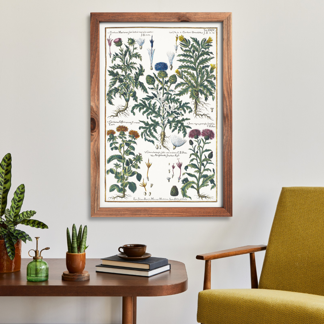 Milk thistle and artichoke poster