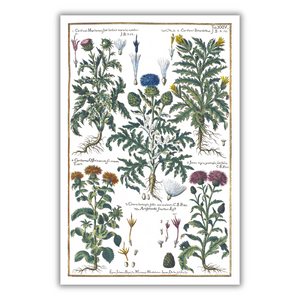 Milk thistle and artichoke poster