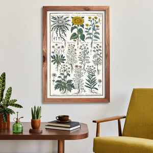 Sunflower and chamomile poster