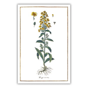 Poster goldenrod